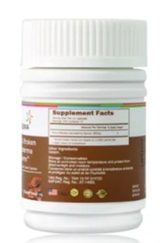 Pure & Broken Ganoderma Spores
AP013E