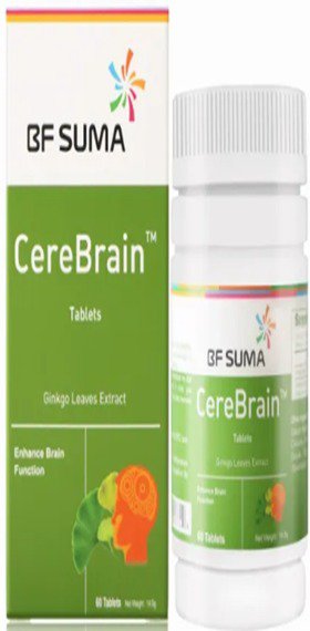 Cerebrain
AP077E - Image 2